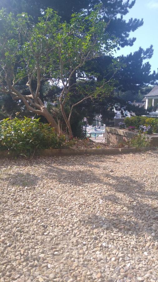 Appartement Sur Le Port, 105M Rez De Jardin Avec Parc Privatif Saint-Valery-en-Caux Exterior foto